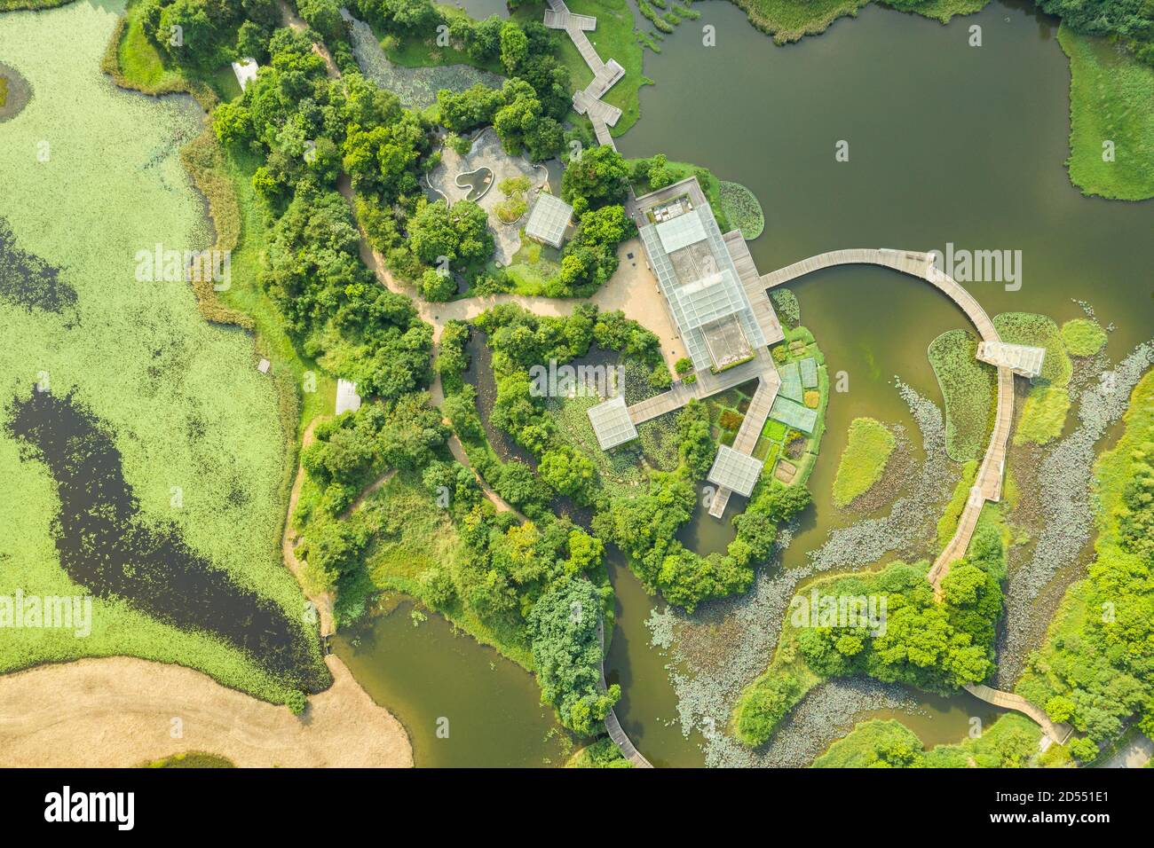 Veduta aerea del Parco delle paludi di Hong Kong, a Tin Shui Wai, nuovi territori di Hong Kong Foto Stock