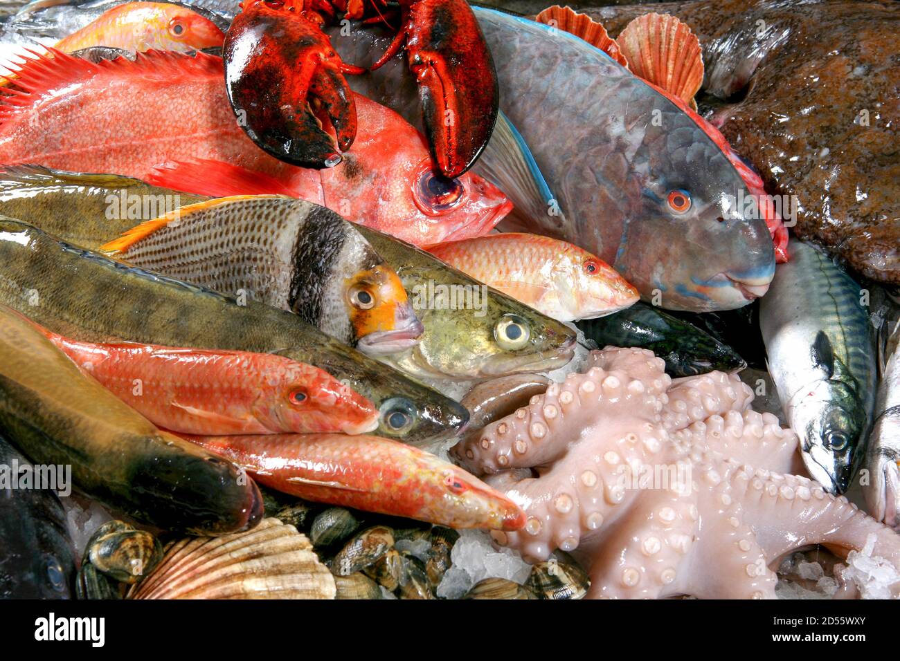 Internationaler fangfrischer Fisch vom Fischgrosshandel ad Amburgo Foto Stock