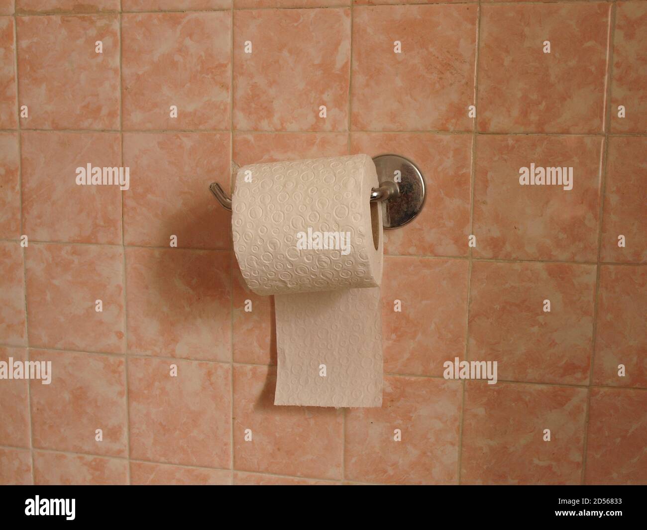 Rotolo di rotolo di carta igienica sulla parete Foto Stock
