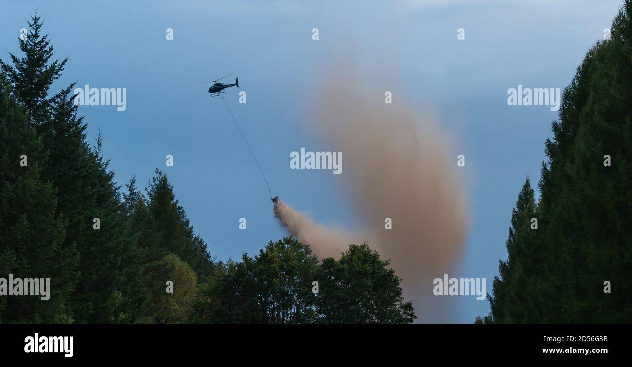 Siedenholz, Germania. 12 Ott 2020. Un elicottero viene utilizzato per diffondere la calce di magnesio su un'area forestale. La calce è destinata a tamponare l'acidificazione del terreno. Credit: Philippe Schulze/dpa/Alamy Live News Foto Stock