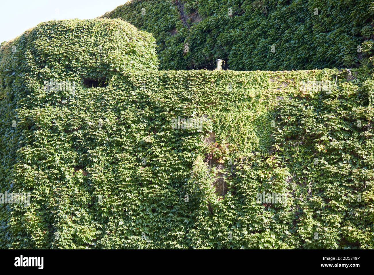 Londra, Regno Unito. - 22 settembre 2020: La Cittadella dell'Ammiragliato in cemento ricoperta di edera alla Parata delle Guardie a Cavallo. Il comando e il controllo fortemente fortificati, a prova di bomba f Foto Stock