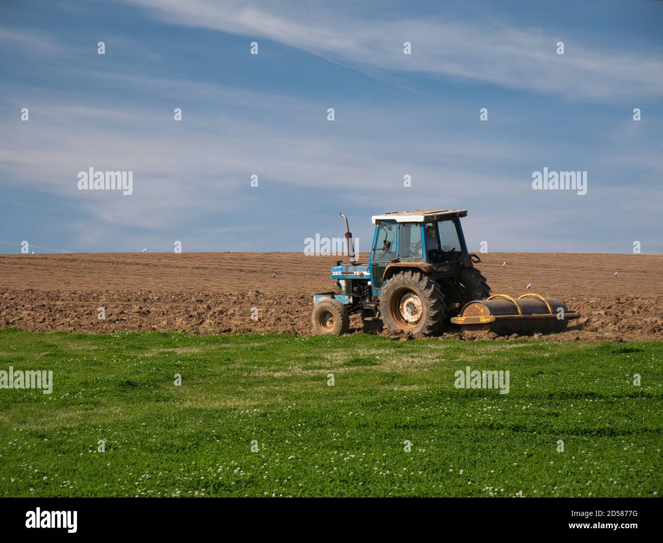 Un agricoltore in un trattore che arava un campo verde in una giornata tranquilla e soleggiata alla fine dell'estate in preparazione alla semina del raccolto. Foto Stock