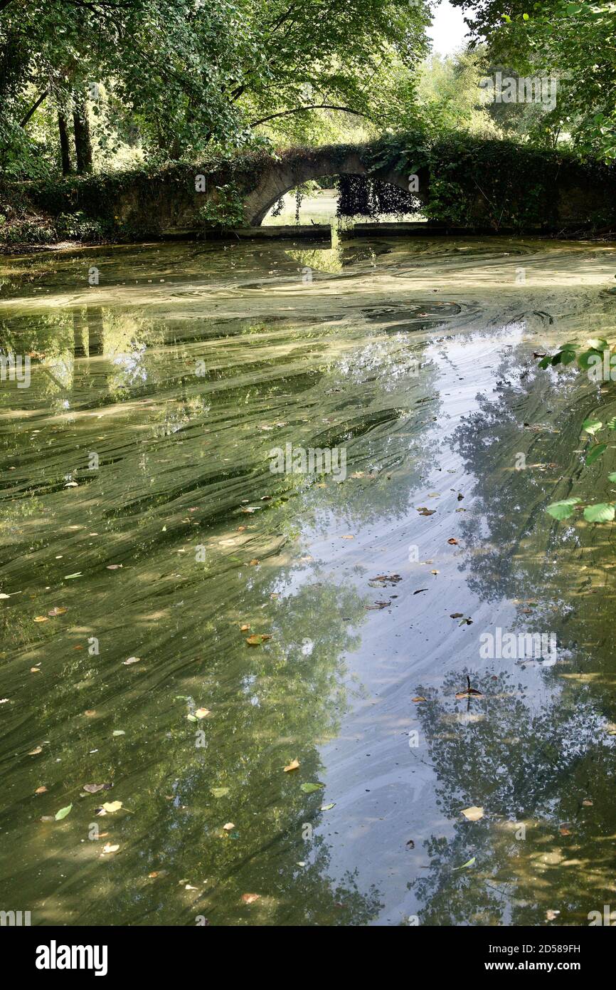 Romantico ponte in pietra su un piccolo lago circondato da alberi Foto Stock