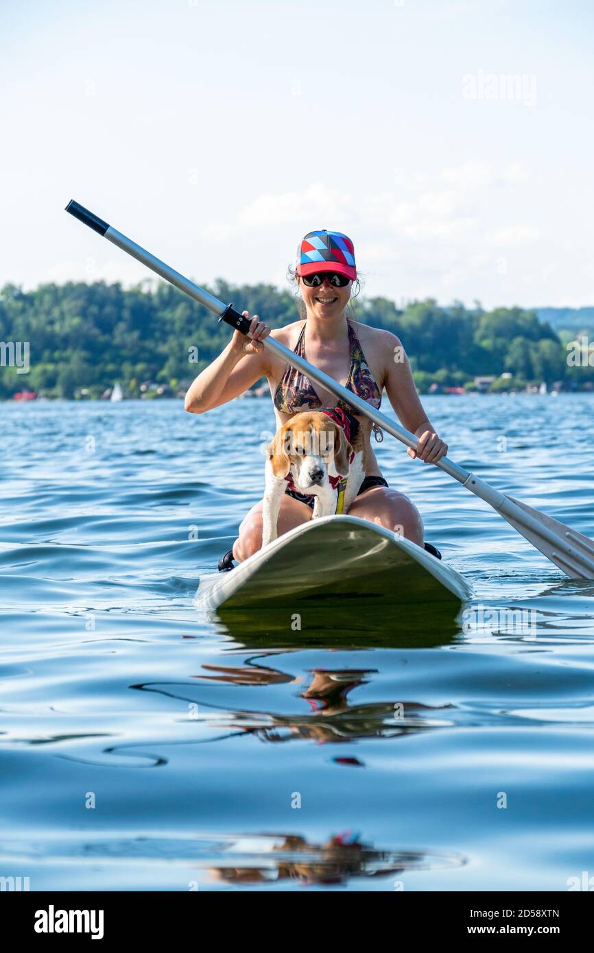 Donna paddleboard con il suo cane, Wallersee, Flachgau, Salisburgo, Austria Foto Stock