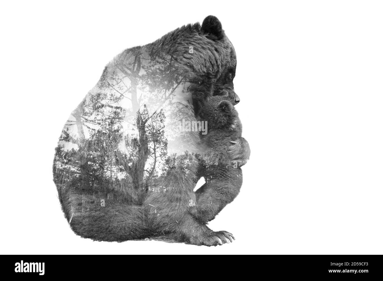 Minima stile doppia esposizione Brown Bear con il bambino e la foresta. Foto Stock