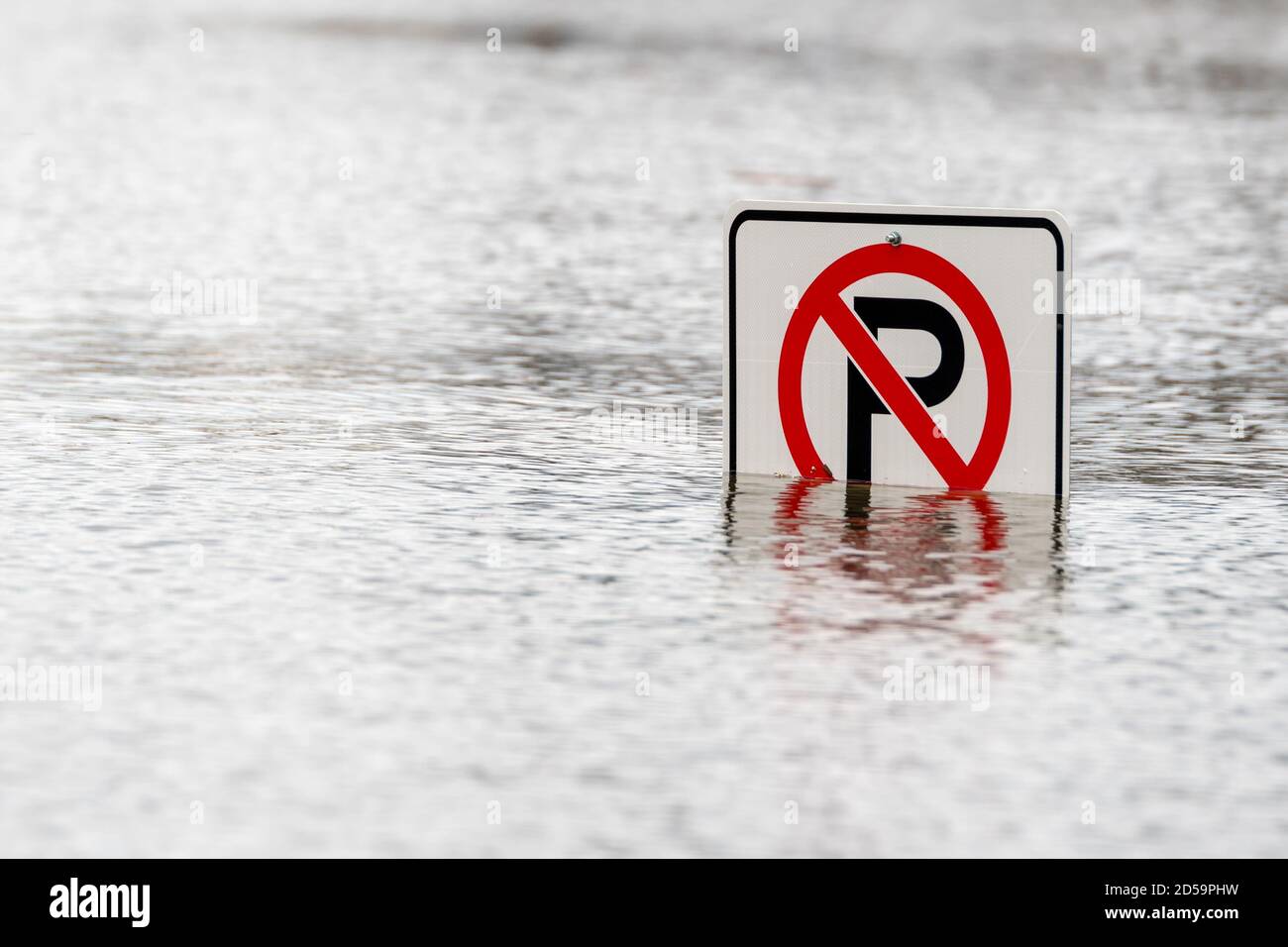 Un cartello di No Parking in Water. L'acqua copre completamente il cartello e parzialmente il cartello. Vista in primo piano. Foto Stock