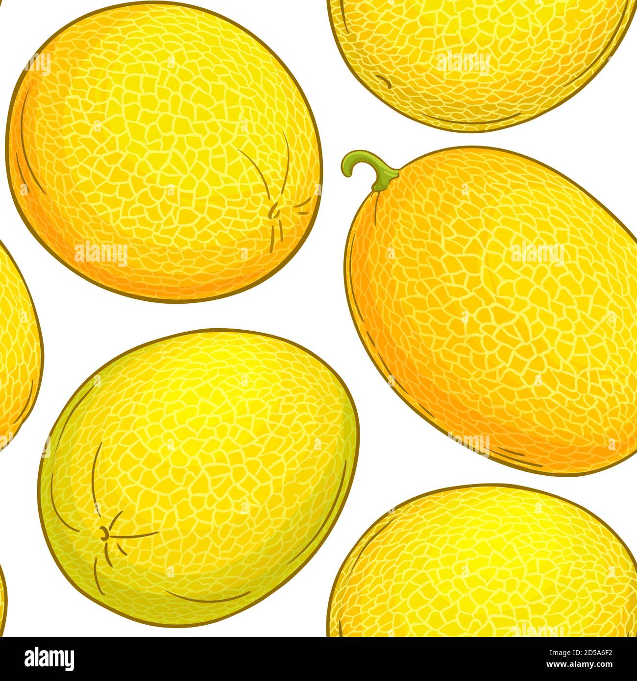 modello vettore melone Illustrazione Vettoriale