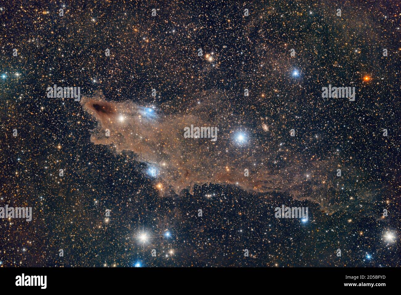 Dark Shark Nebula LDN1235 Foto Stock