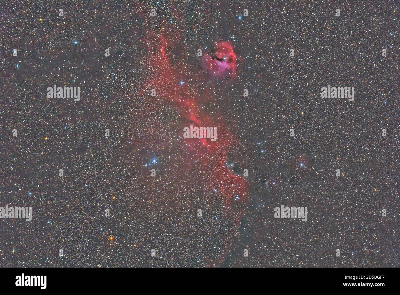 Nebula di Seagull IC2117 Foto Stock