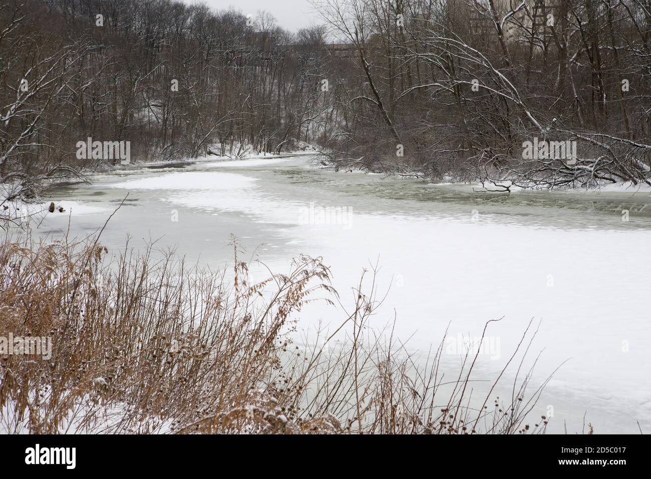 Arboreto dell'Università del Michigan Nichols in inverno Foto Stock