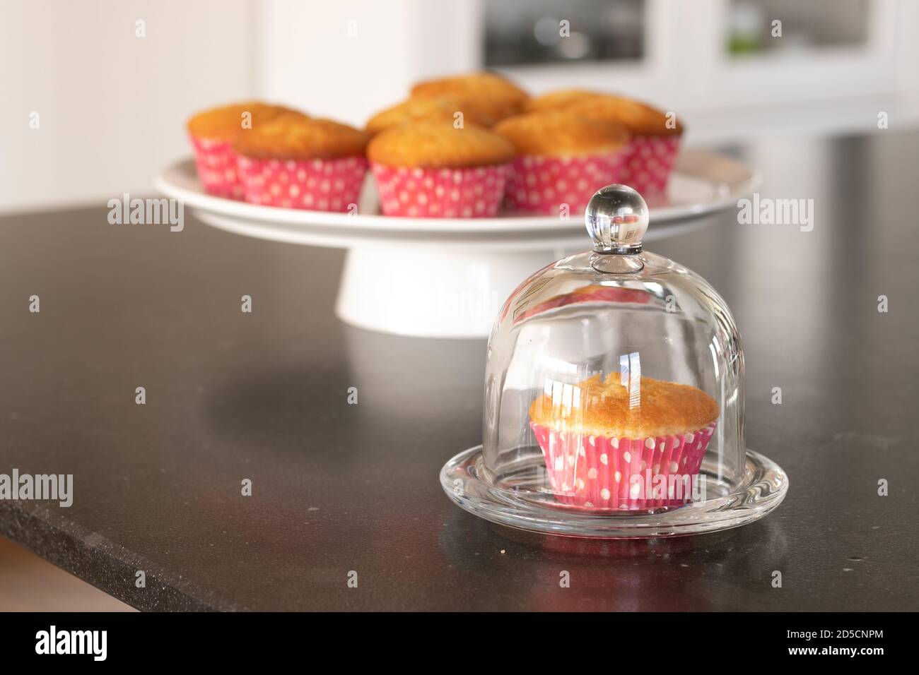 Cupcakes cotto in casa in un piatto bianco o in un vetro e in uno sfondo scuro del tavolo, tazze rosa con i punti del withe, cupcakes semplici senza decorazione. Casa Foto Stock