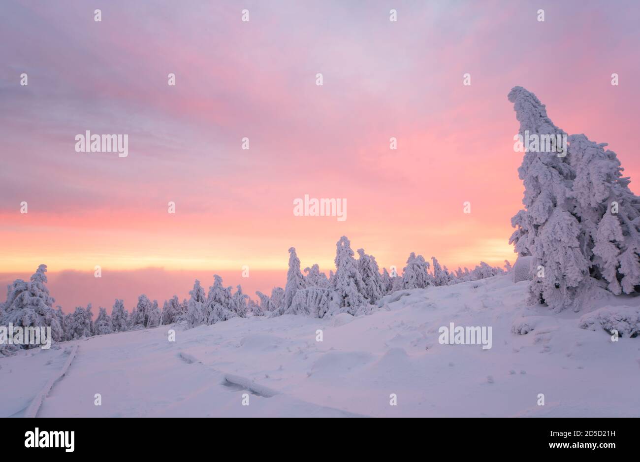 Inverno sul Brocken. Alba, il sole che sorge illumina sia le nuvole che gli alberi innevati. L'orizzonte è parzialmente illuminato di rosso intenso. Foto Stock