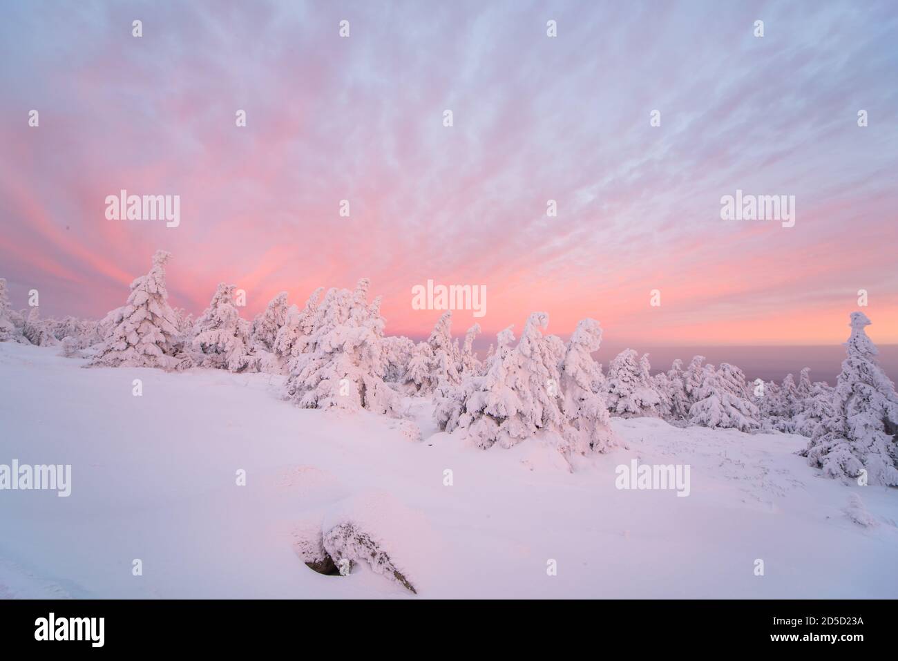 Inverno sul Brocken. Alba, il sole che sorge illumina sia le nuvole che gli alberi innevati. L'orizzonte è parzialmente illuminato di rosso intenso. Foto Stock