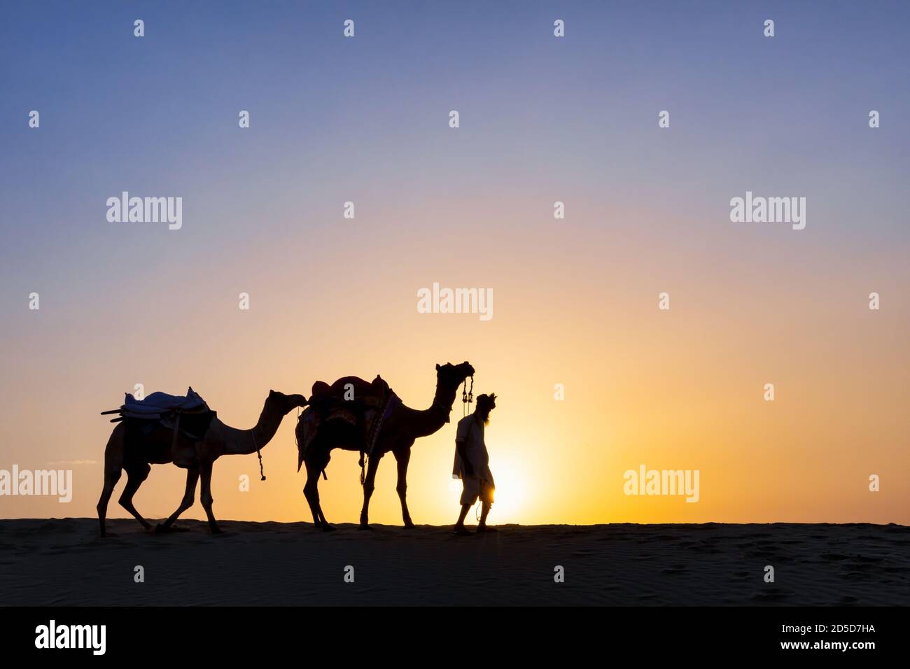 Silhouette di un uomo a piedi con i suoi cammelli, deserto di Thar, Rajasthan, India Foto Stock