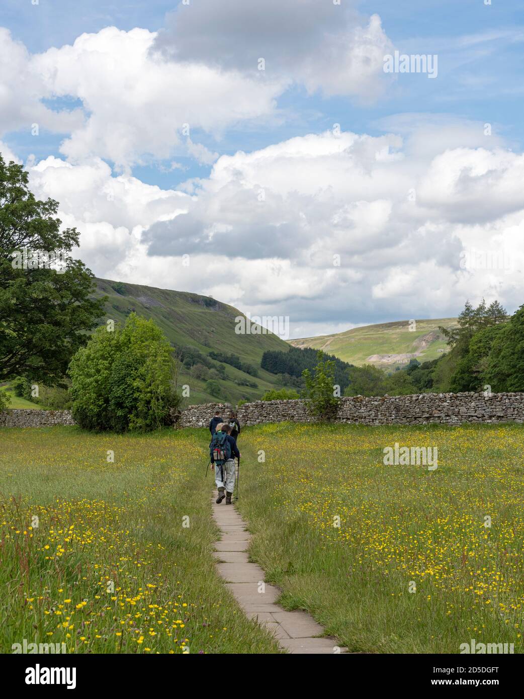 Wild prati fioriti a Muker in Swaledale Foto Stock