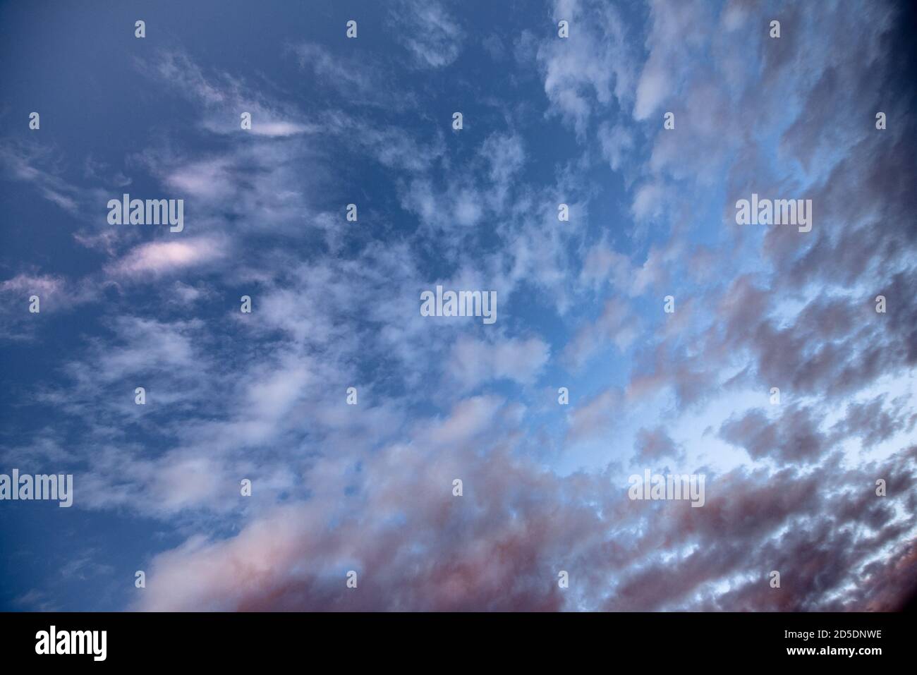 Vista in verticale nel cielo leggermente nuvoloso al sole della sera. Foto Stock