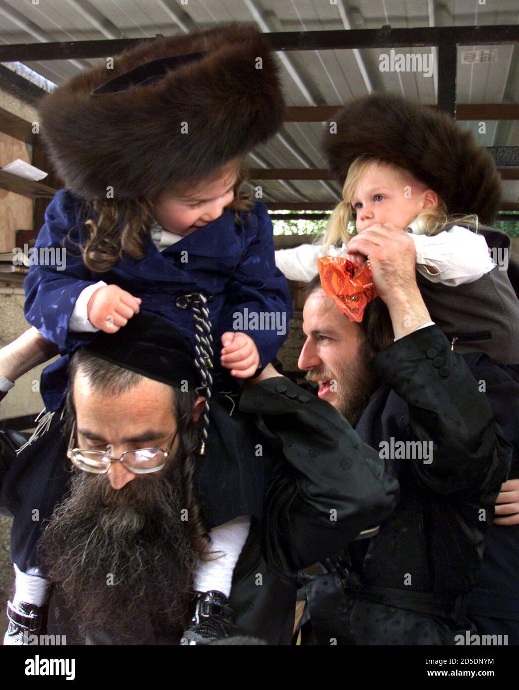 I ragazzi ebrei ultra-ortodossi di tre anni, che indossano le streimel dei  loro padri (cappelli in pelliccia), vengono ballati prima del loro primo  taglio di capelli nella festa ebraica di Lag B'Omer