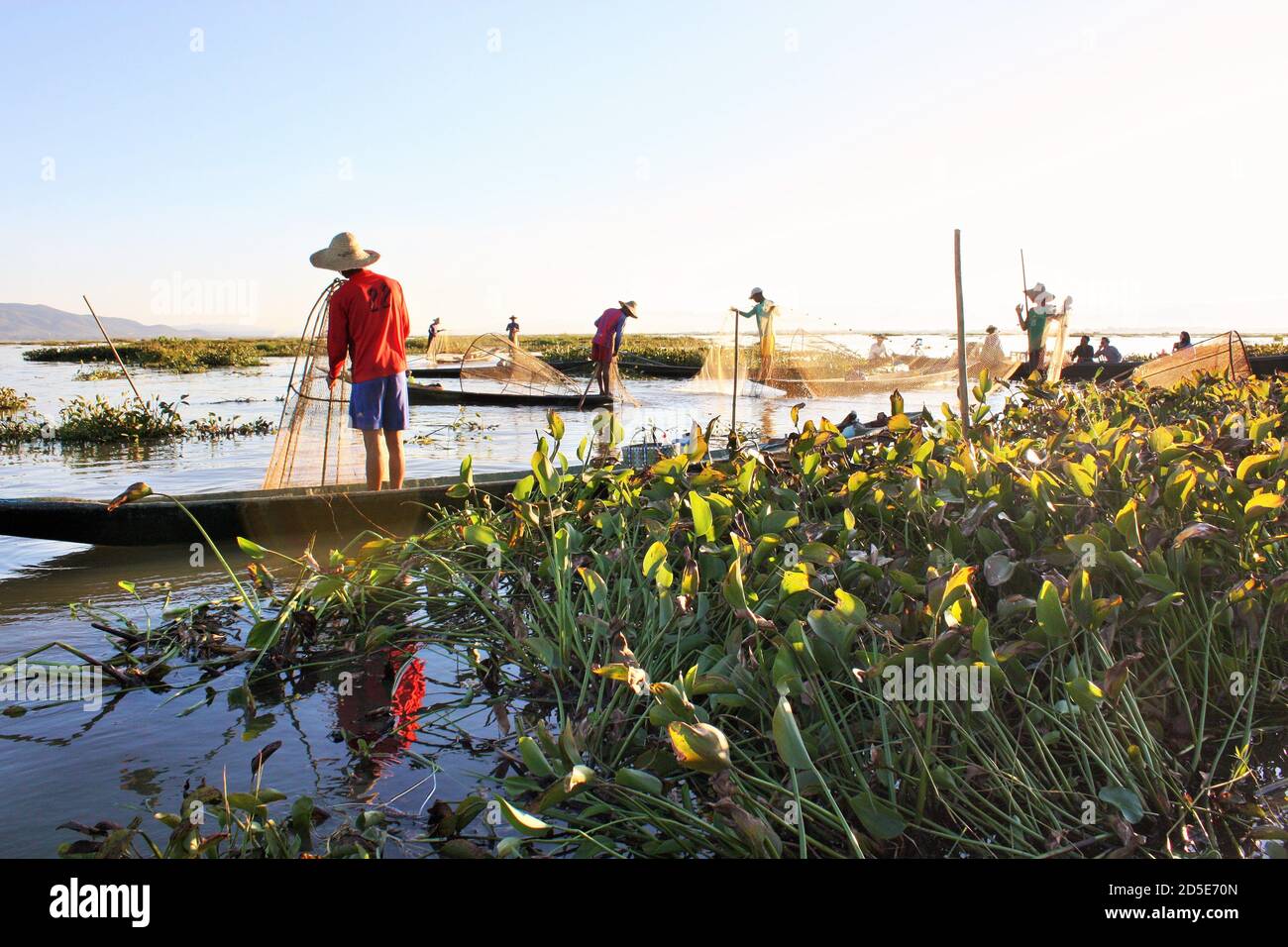 Pescatori birmani con reti da pesca in imbarcazioni tra piante verdi a Inle Lake, Shan state, Myanmar Foto Stock