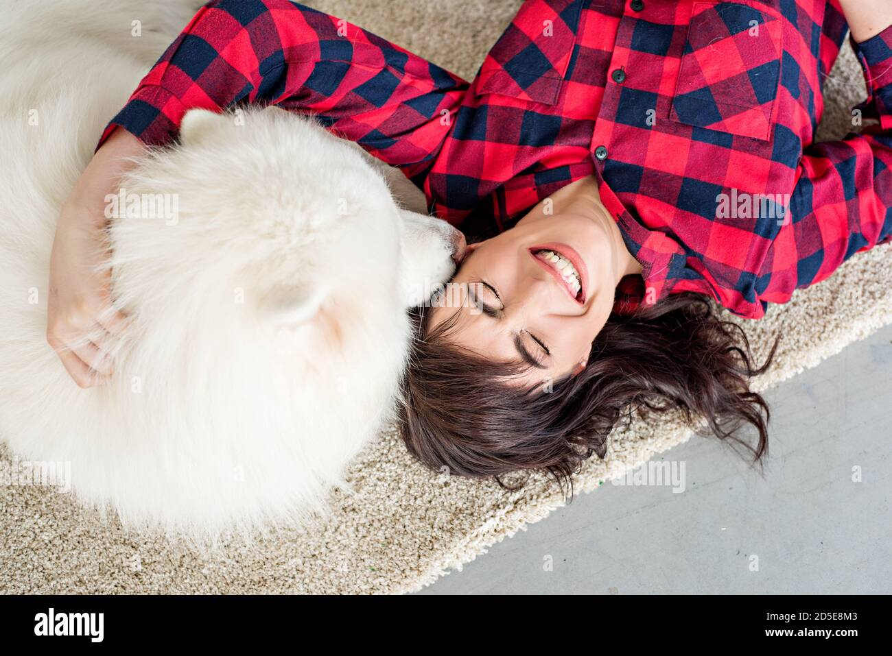 Bella bruna ragazza con ricci in una camicia rossa-controllato ride abbracci un Husky Samoyed che leccano la ragazza sulla guancia. Sfondo di un albero di Natale Foto Stock