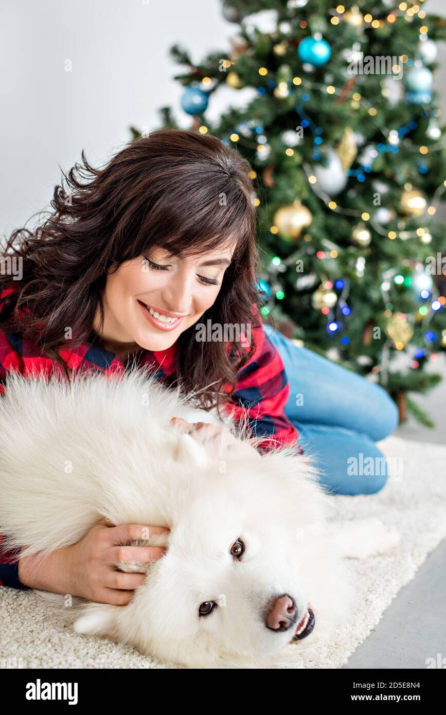 Bella bruna ragazza con ricci in una camicia rossa-controllato ride abbracci un Husky Samoyed che leccano la ragazza sulla guancia. Sfondo di un albero di Natale Foto Stock