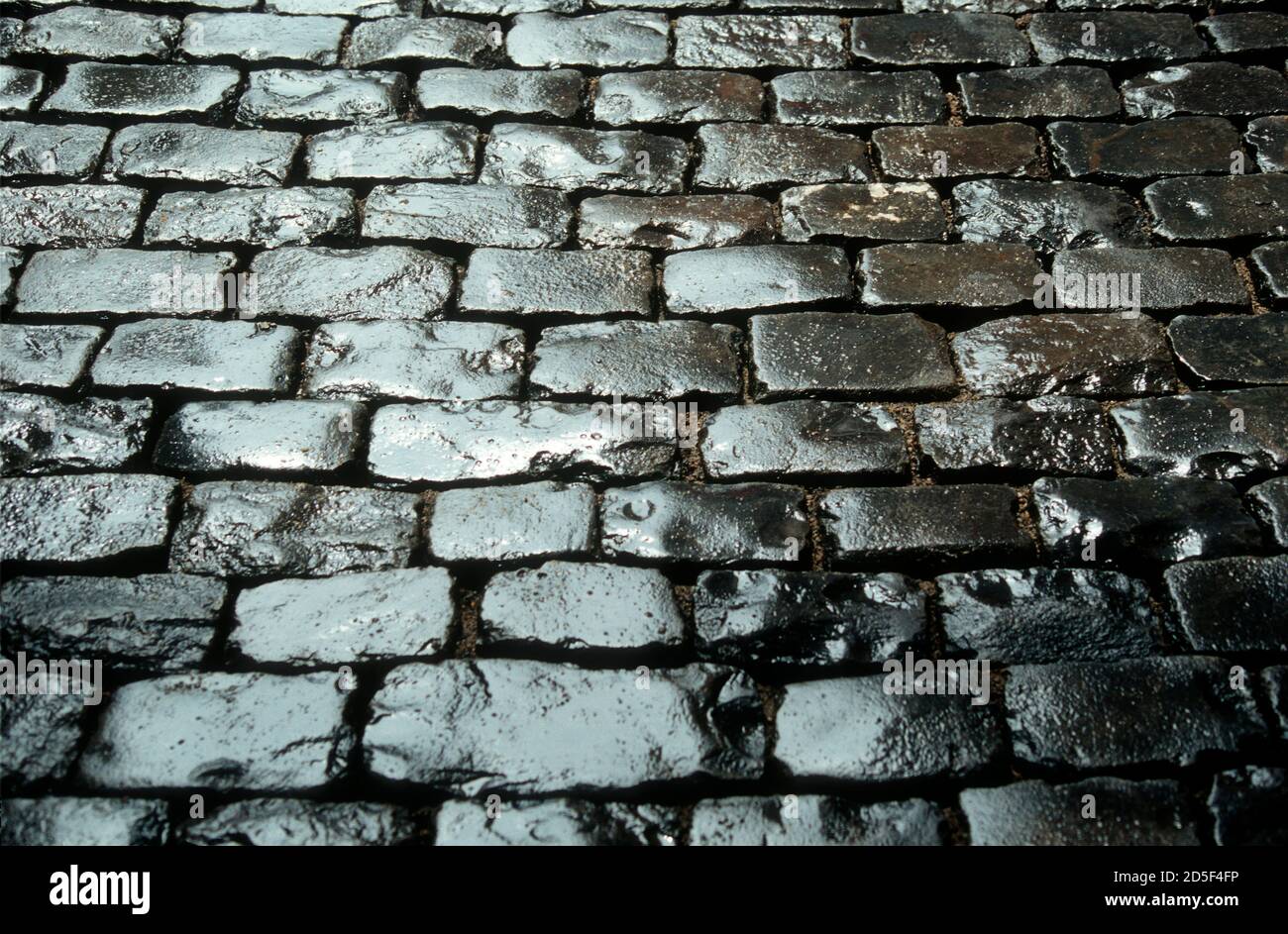 Strada acciottolata bagnata che riflette la luce in un ambiente urbano durante le prime ore della sera Foto Stock