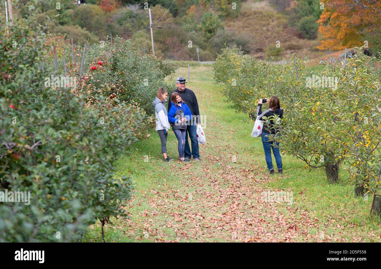 Una famiglia che raccoglie le mele in un frutteto di mele Vermont si ferma per una foto di famiglia. STATI UNITI Foto Stock