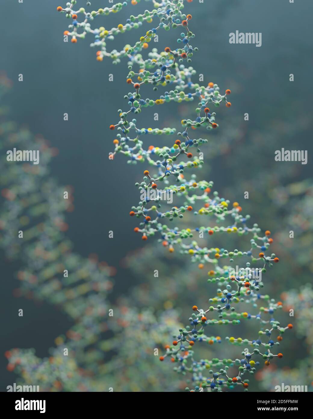 Il DNA è una molecola e una doppia elica che porta istruzioni genetiche per lo sviluppo, il funzionamento, la crescita e la riproduzione di tutti gli organismi noti. Foto Stock