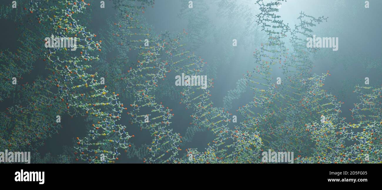 Il DNA è una molecola e una doppia elica che porta istruzioni genetiche per lo sviluppo, il funzionamento, la crescita e la riproduzione di tutti gli organismi noti. Foto Stock