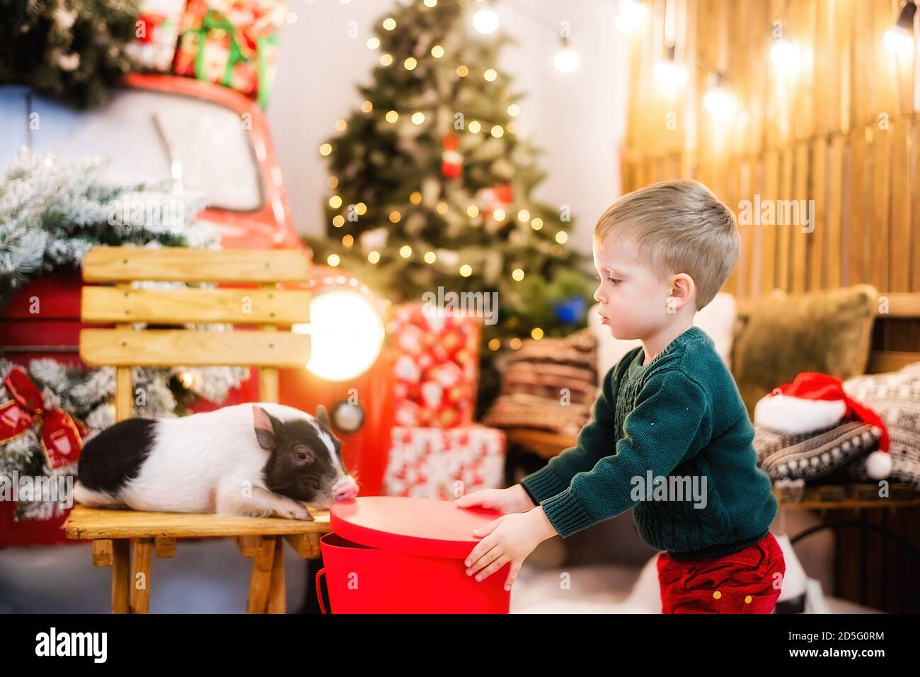 Ritratto di un bambino felice che gioca con mini maiali e scatole di regali rosse e bianche, costruisce torri sullo sfondo di un'auto con una corona, Foto Stock