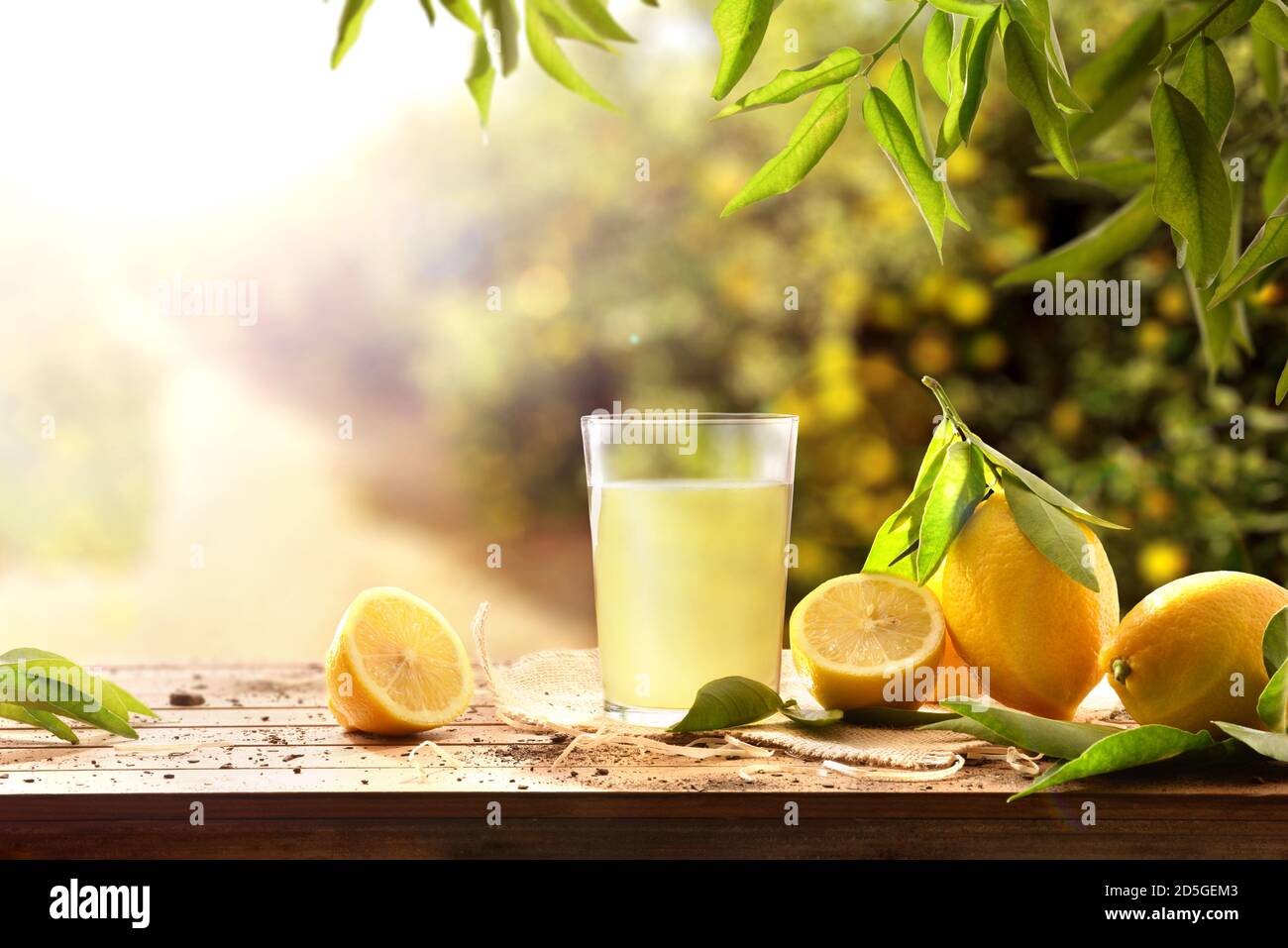 Spremuta fresca su un tavolo di legno pieno di limoni con alberi di limone sullo sfondo e la luce del sole. Vista frontale. Composizione orizzontale. Foto Stock
