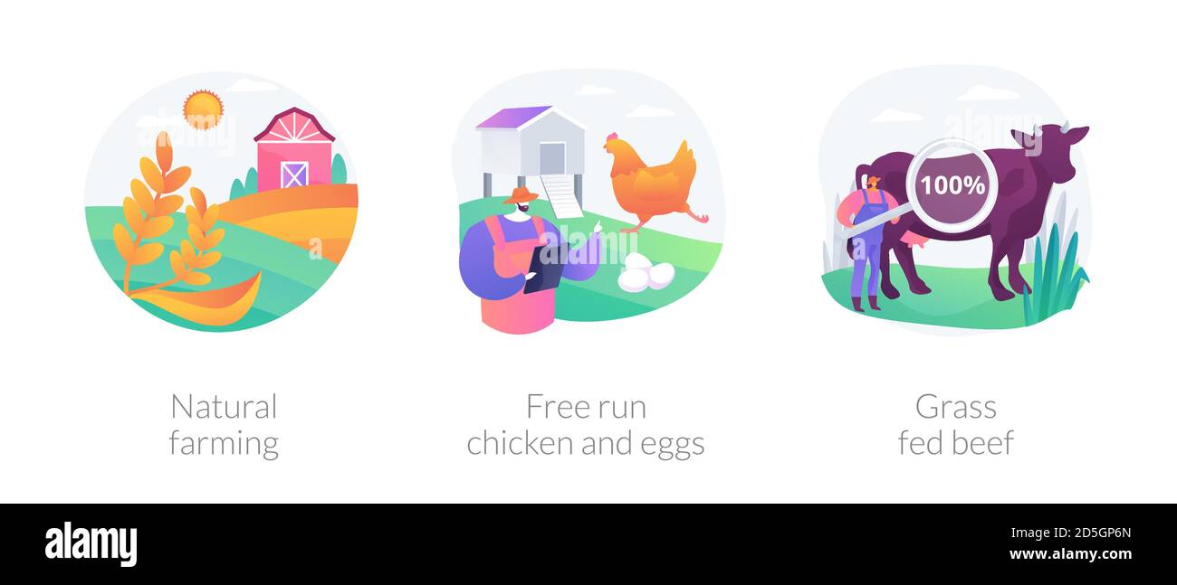 Illustrazioni vettoriali astratte di concetto di agricoltura ecologica. Illustrazione Vettoriale