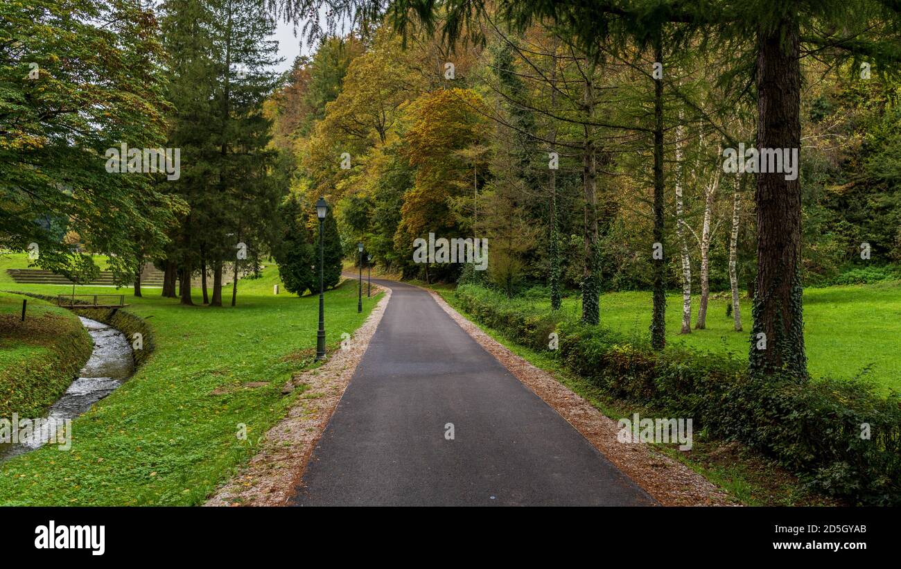 Percorso attraverso i boschi Foto Stock