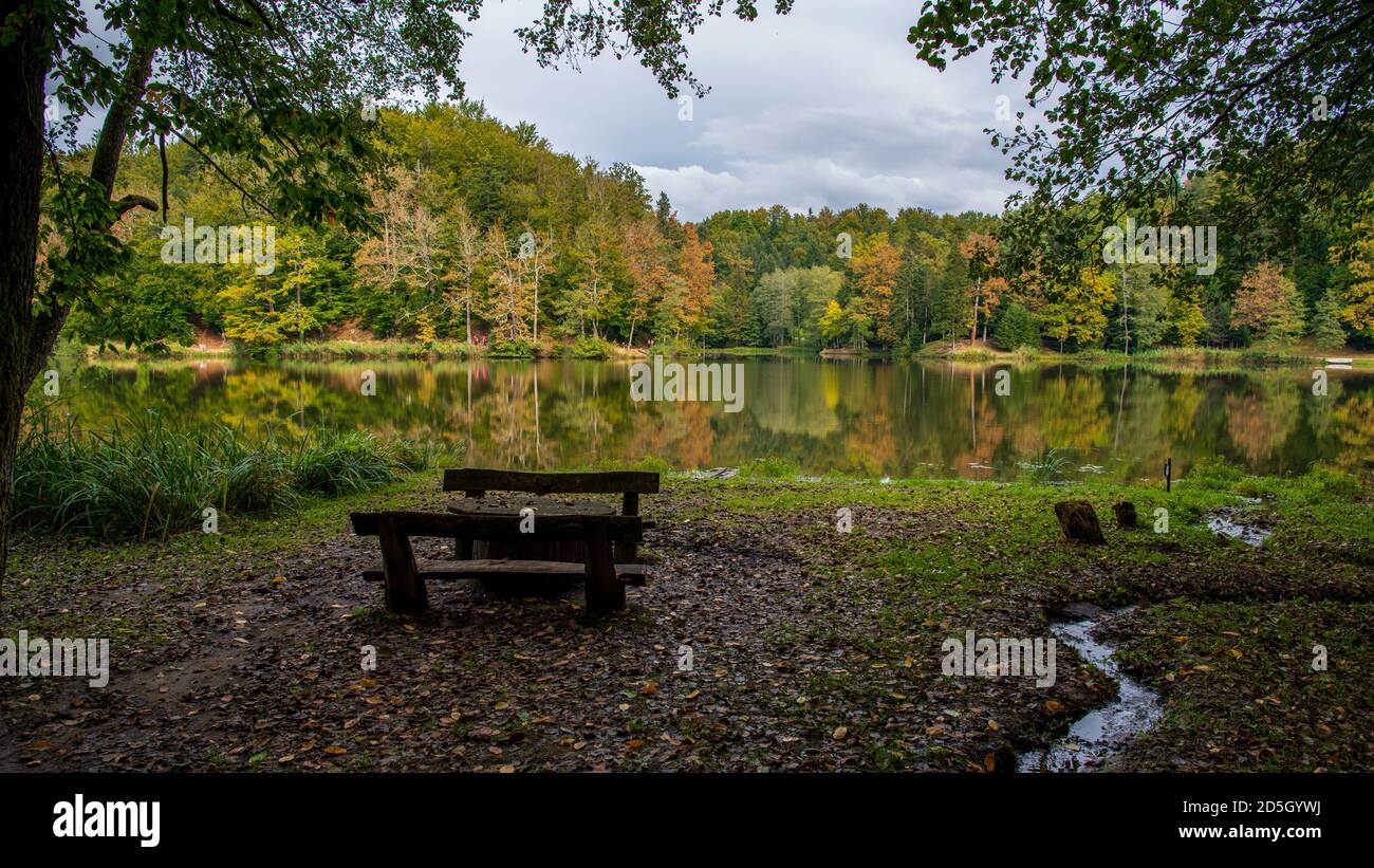 Vicino al lago in autunno Foto Stock