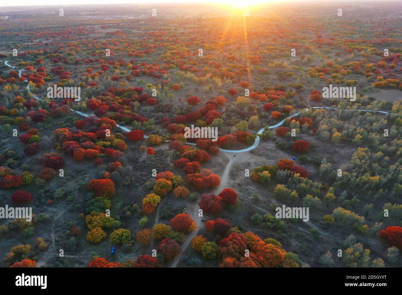 Tongliao. 12 Ott 2020. La foto aerea del 12 ottobre 2020 mostra lo scenario autunnale della riserva nazionale di Daqinggou a Horqin Banner posteriore ala sinistra della regione autonoma della Mongolia interna della Cina del nord. Credit: Liu Yide/Xinhua/Alamy Live News Foto Stock