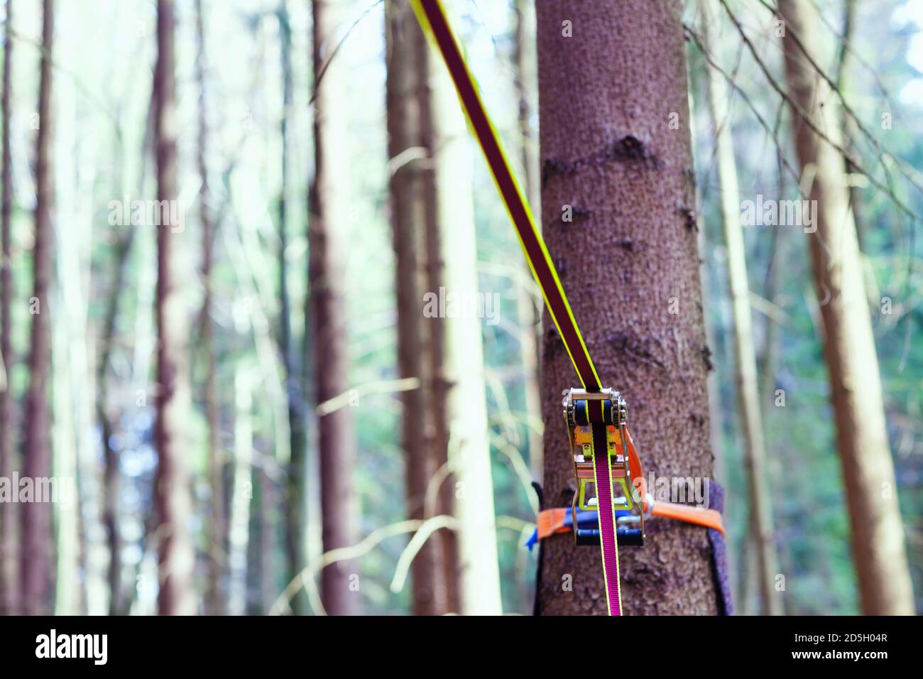 Uomo a piedi, saltando e bilanciando su corda in parco Sport una tightrope o slackline all'aperto in un parco cittadino in estate slacklining, equilibrio, allenamento Foto Stock