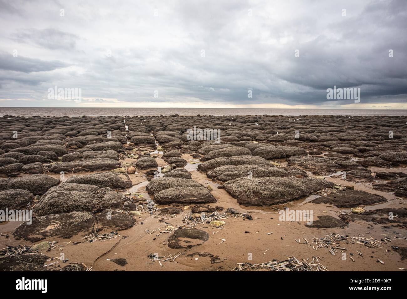 Gli strati Cretacei consolidati formano delle scogliere attive a nord della città di Hunstanton sulla costa orientale del Washington. Foto Stock