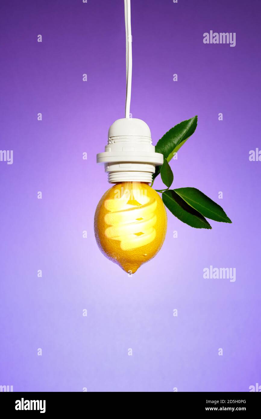 Simbolismo di un'idea fresca con una lampadina combinata con foglie di limone e limone, con sfondo viola a completamento del limone giallo Foto Stock