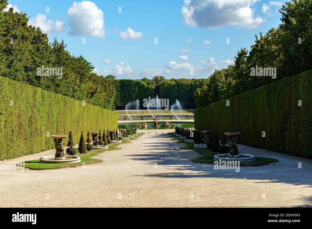 I Marmousets camminano con le fontane del Drago e del Nettuno nei Giardini di Versailles - Francia Foto Stock