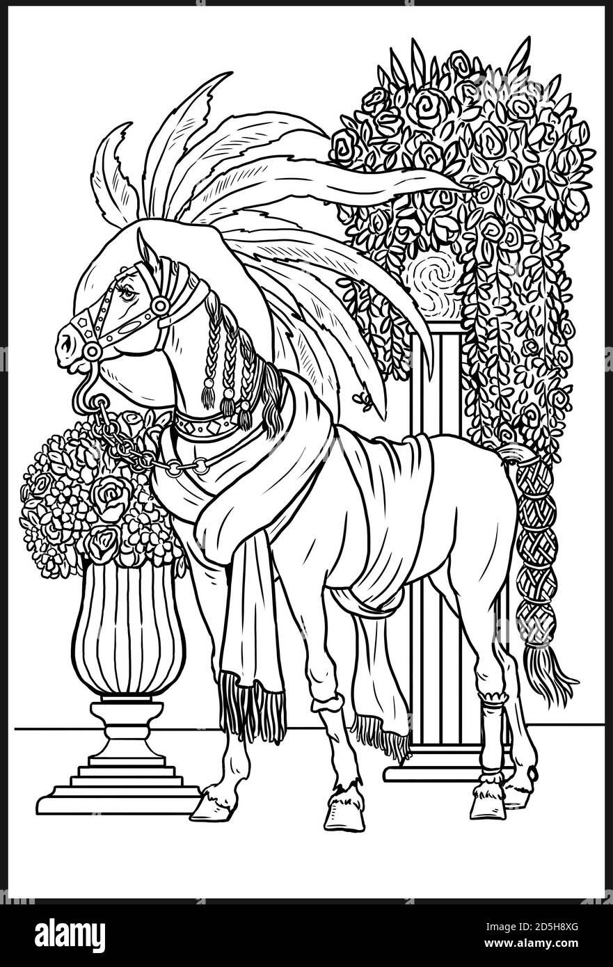 Bel cavallo da colorare. Pagina da colorare per gli amanti dei cavalli Foto  stock - Alamy