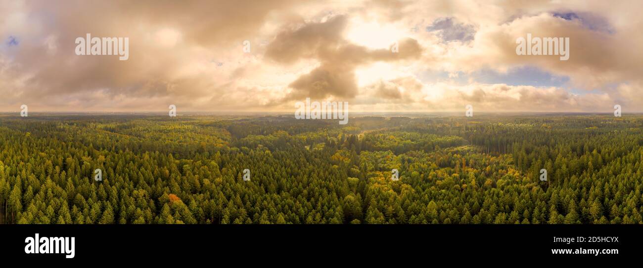 Meravigliosa luce su una foresta panoramica autunnale, sparata da un drone in octobre. Foto Stock