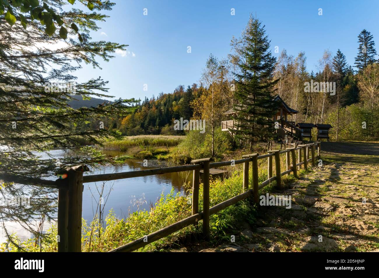 Rifugio turistico in legno sul lago di Bobrowe (lago Beaver). Montagne Bieszczady, Polonia, Europa Foto Stock