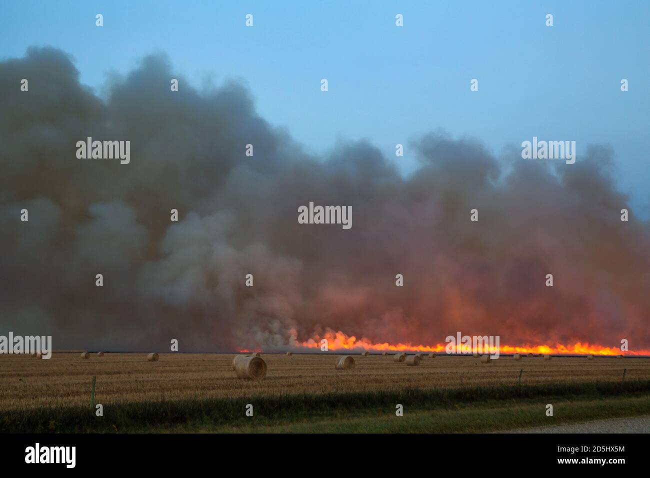 Una linea di fuoco con fumo che si senta dietro un campo punteggiato da balle di paglia in un paesaggio autunnale serale Foto Stock