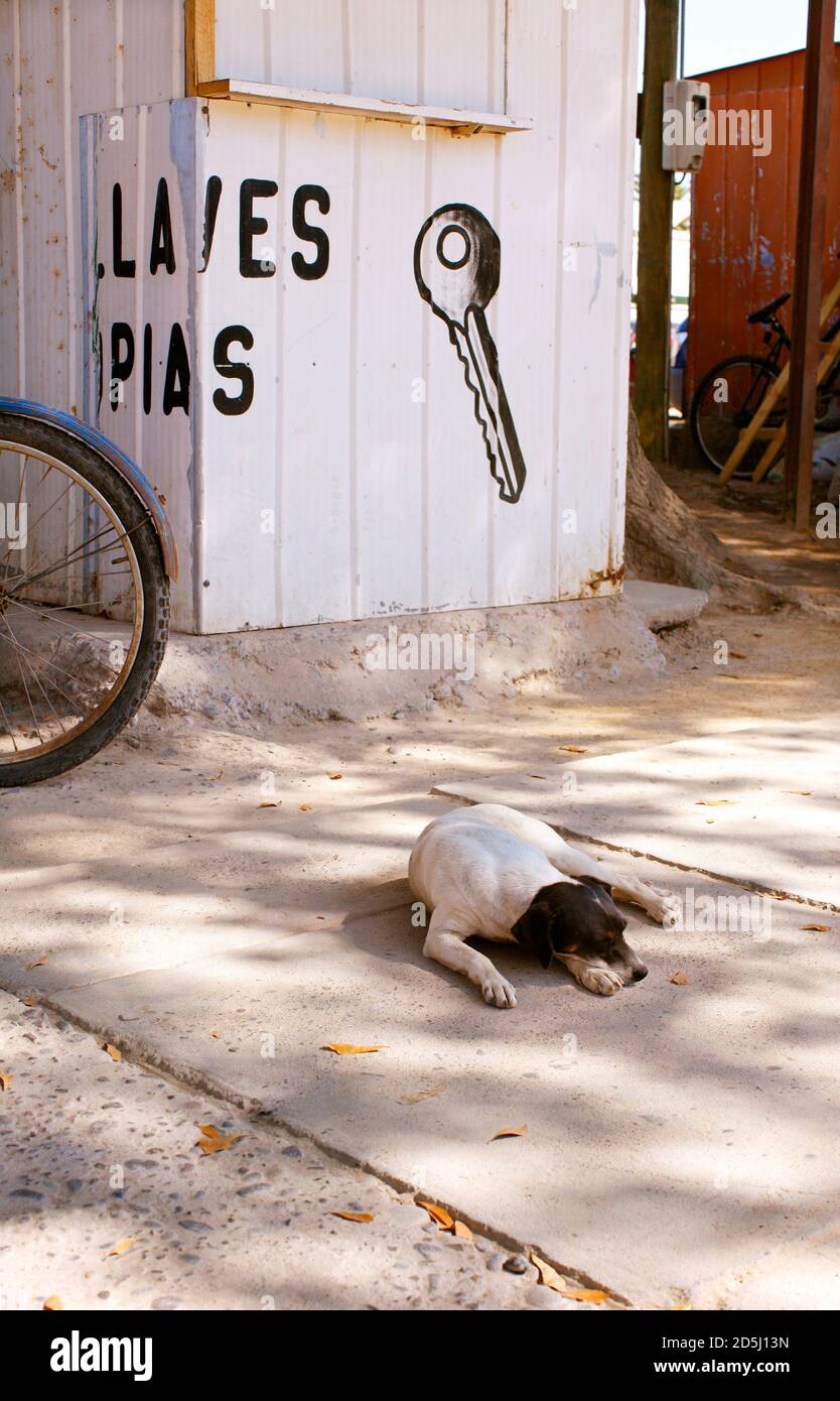 Cile, Sud America Foto Stock