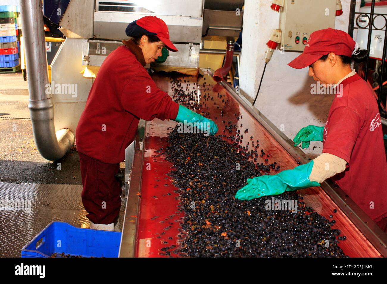 Cile, Sud America Foto Stock