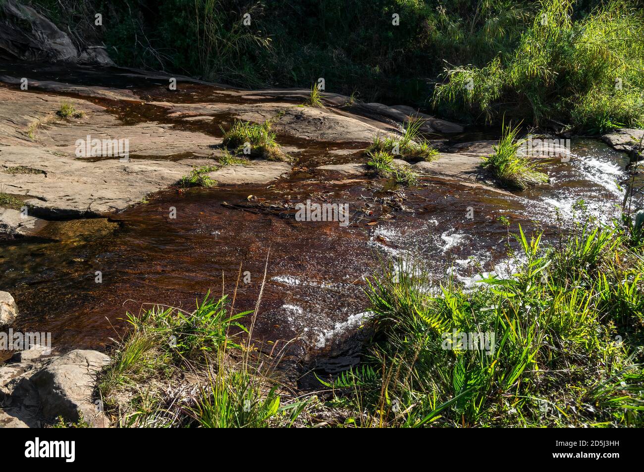 Acque cristalline che scorrono sulle formazioni rocciose della cascata di Mato Limpo circondate da vegetazione verde. Cunha, San Paolo - Brasile. Foto Stock