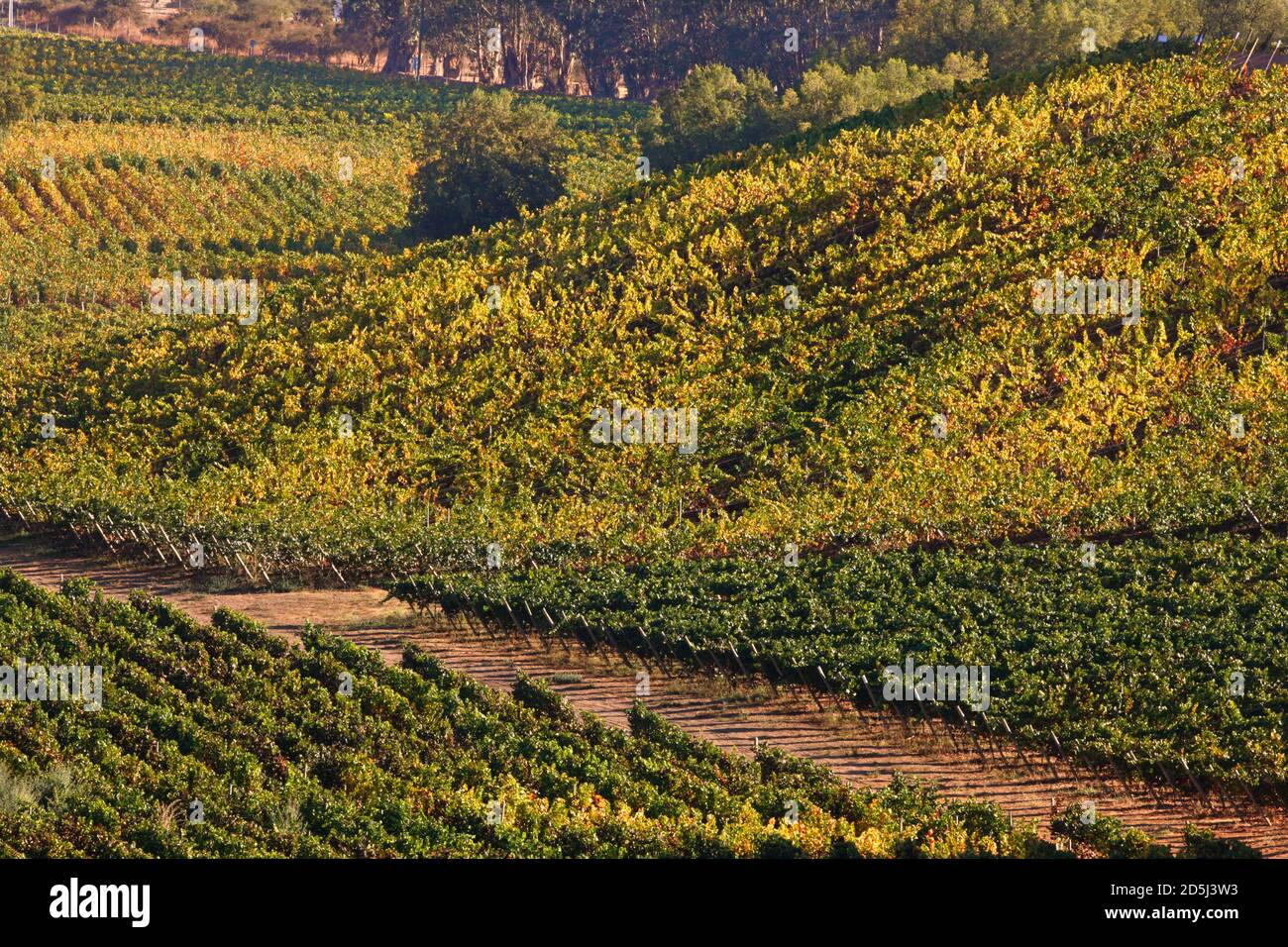 Cile, Sud America Foto Stock