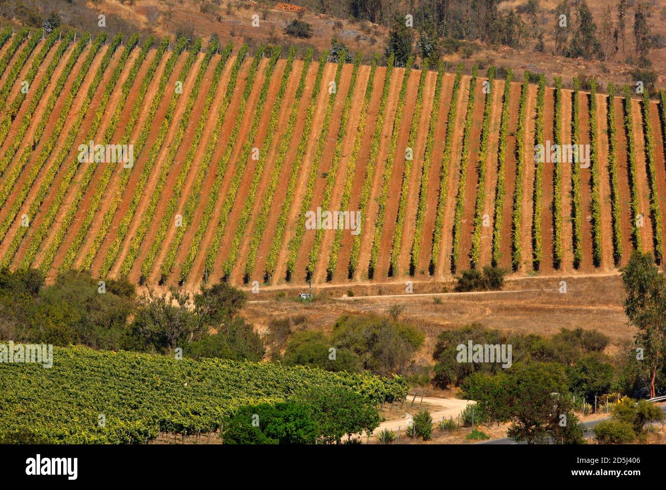 Cile, Sud America Foto Stock