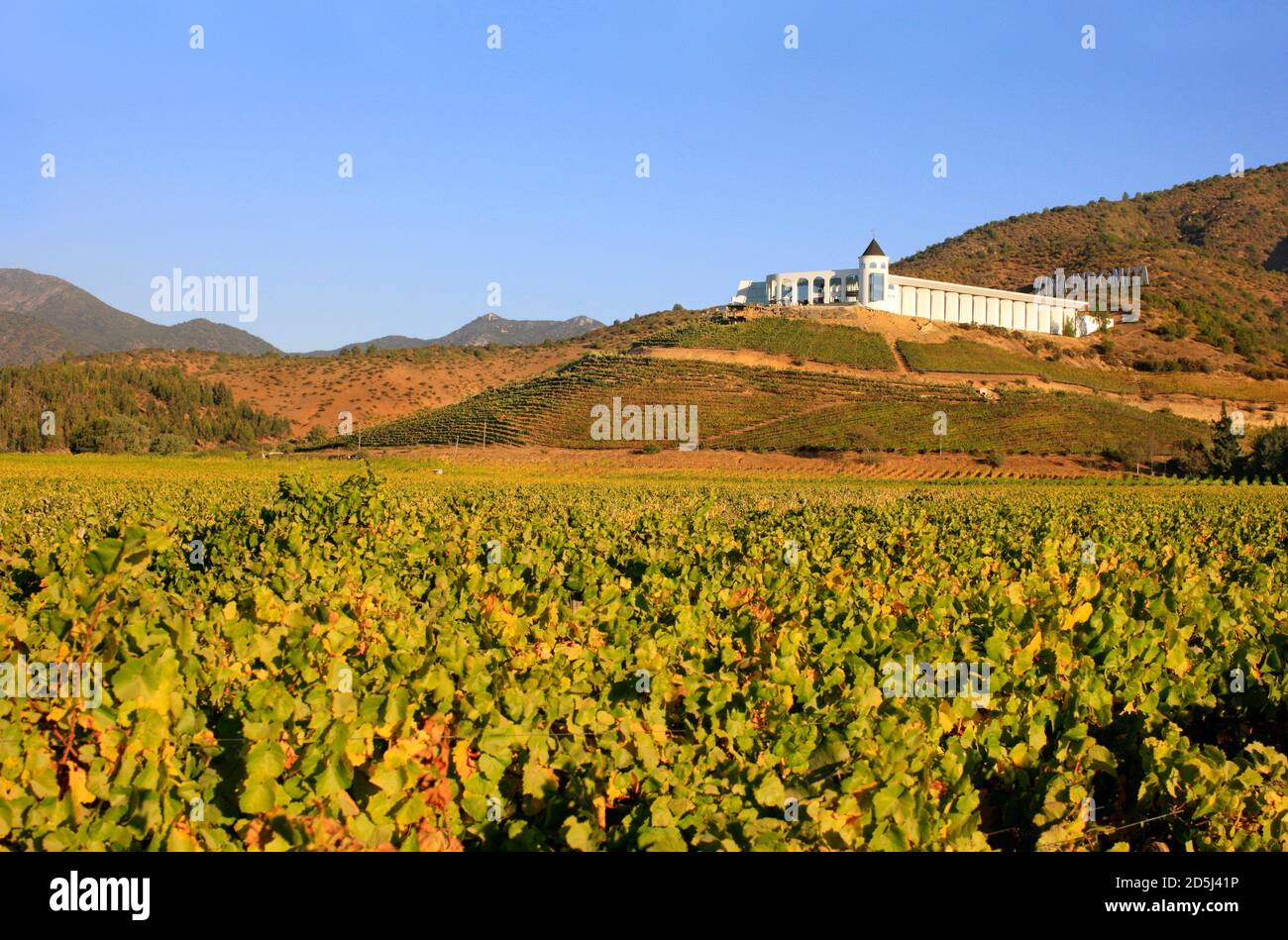 Cile, Sud America Foto Stock