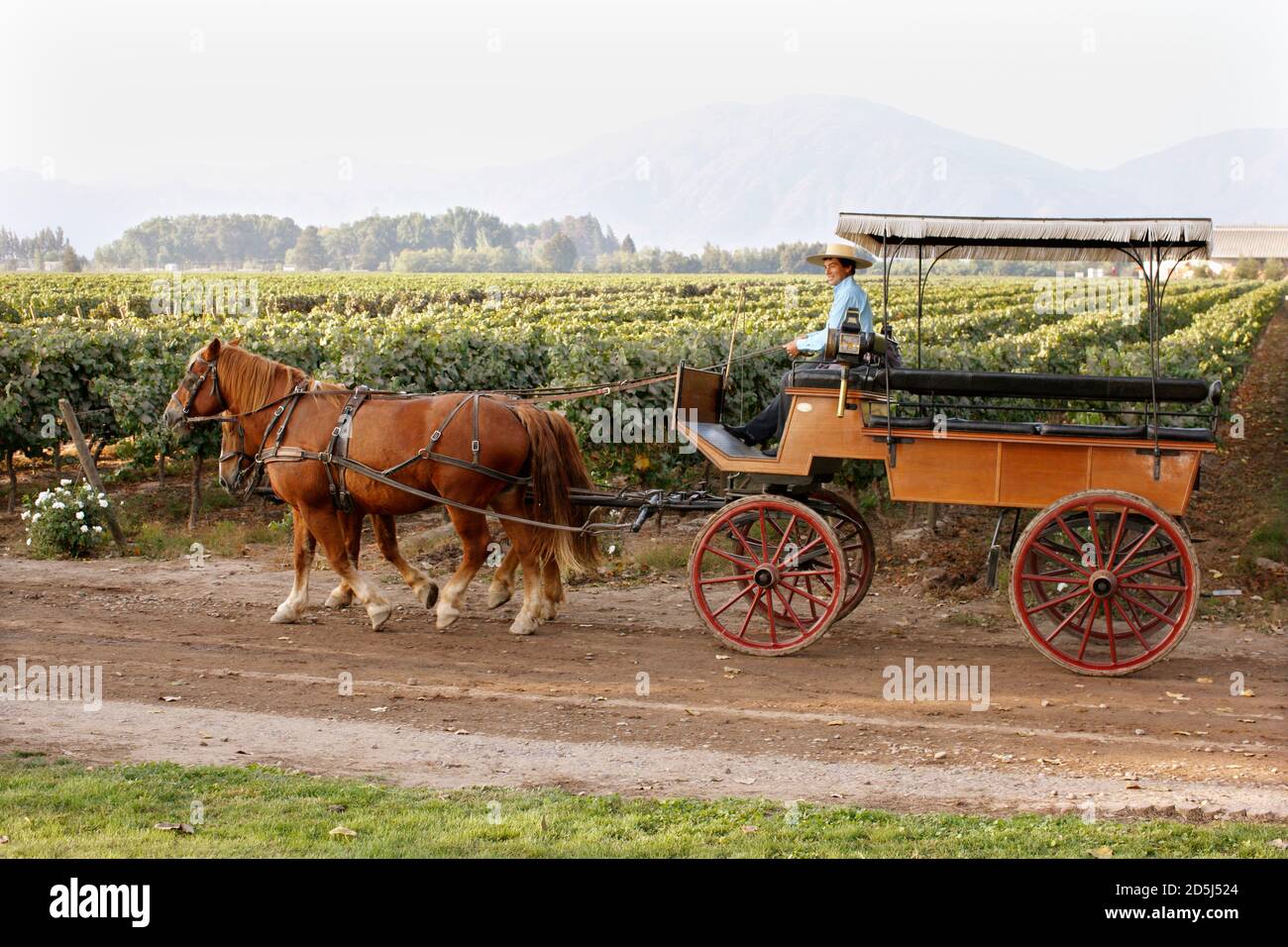 Cile, Sud America Foto Stock