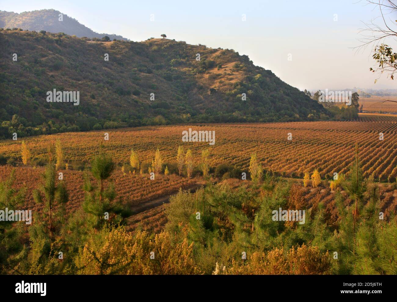 Cile, Sud America Foto Stock